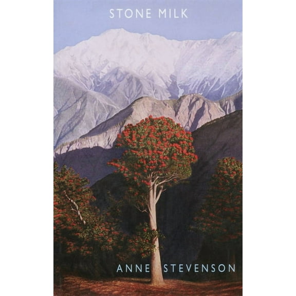 Stone Milk (Paperback)