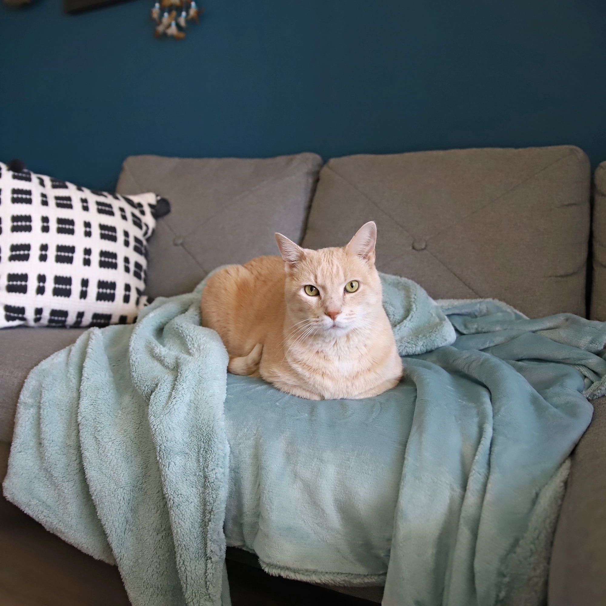 Dog Blankets for Large Dogs,Super Soft Warm Sherpa Fleece Plush Doggie Blankets and Throws for Small Medium Puppy Doggy Pet Cats