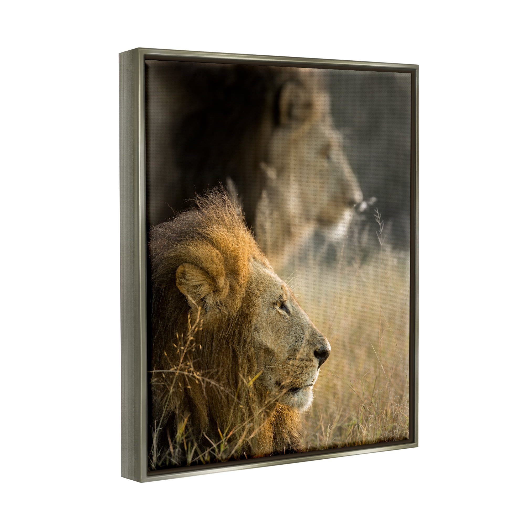 Stupell Industries Lions Lounging Savanna Photography Animals & Insects Photography Gray Floater Framed Art Print Wall Art