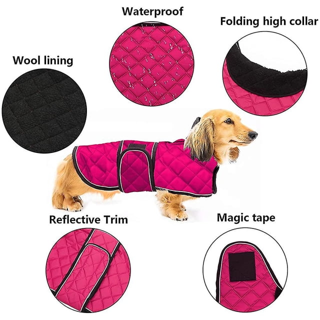 Cálido abrigo térmico acolchado Dachshund. Abrigo de invierno para perro con cálido forro polar. Ropa para perros al aire libre con bandas ajustables para tama?o mediano. Perro grande-rosa-m XianweiShao 8390614452213
