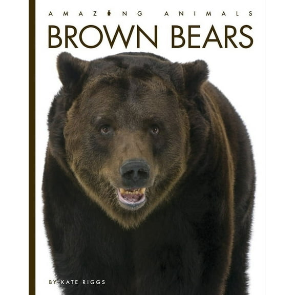 Amazing Animals Brown Bears, (Paperback)