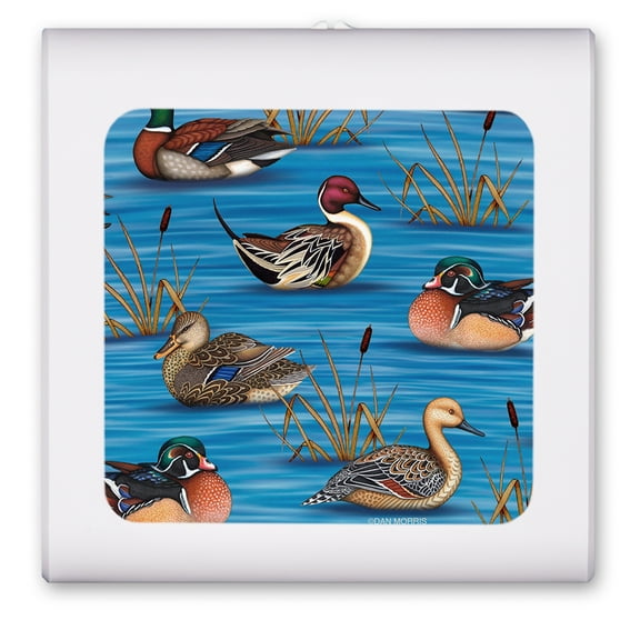 Plug in Dimmable LED Night Light with Dusk to Dawn Auto Sensor, Adjustable Brightness, Warm Light, Auto On/Off Nightlight for Bathroom, Hallway, Nursery, Bedrooms - Ducks II