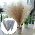 thumbnail image 4 of 6 Pieces Dried Pampas Grass for Vase Boho Reed Flowers Flower Arrangement Home, 4 of 6