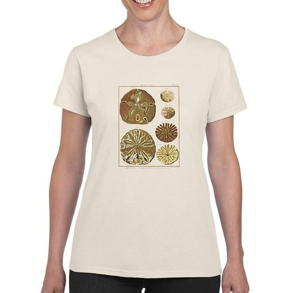 Sand Dollars Iii T-Shirt Women -Denis Diderot Designs, Female 4X-Large
