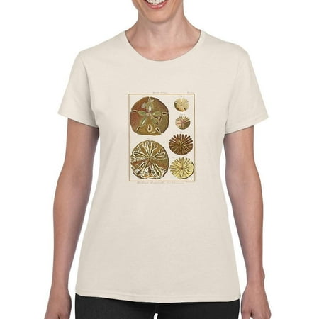 Sand Dollars Iii T-Shirt Women -Denis Diderot Designs Female x-Large
