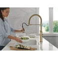 thumbnail image 5 of Delta 18829-Dst Rhett 1.8 GPM Single Hole Pre-Rinse Pull Down Kitchen Faucet - Chrome, 5 of 7