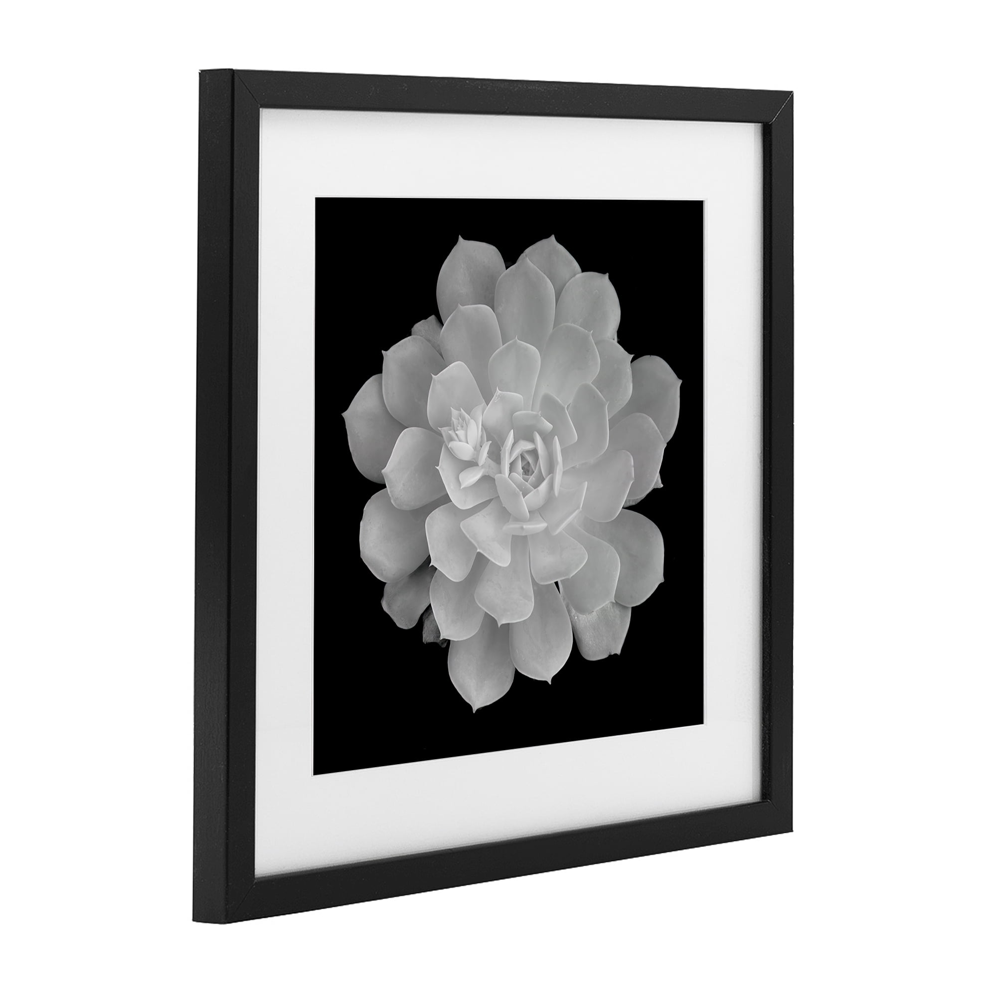 Pure White Succulent Contrast Black Framed Print Under Glass, design by Phillip Flowers