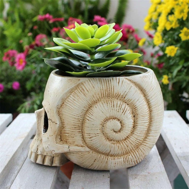 Skull Planter Pots for Indoor Plants, 3.62*4.33*5.31 Inch Skull