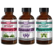 Essential Oil Lavender, Rosemary & Peppermint - Aromatherapy ( 3 x 30 mL / 1 fl oz ) - Gift Set of 3 Made with 100% Pure Therapeutic Grade Essential Oils by Sponix Made in USA (FAST SHIPPING)
