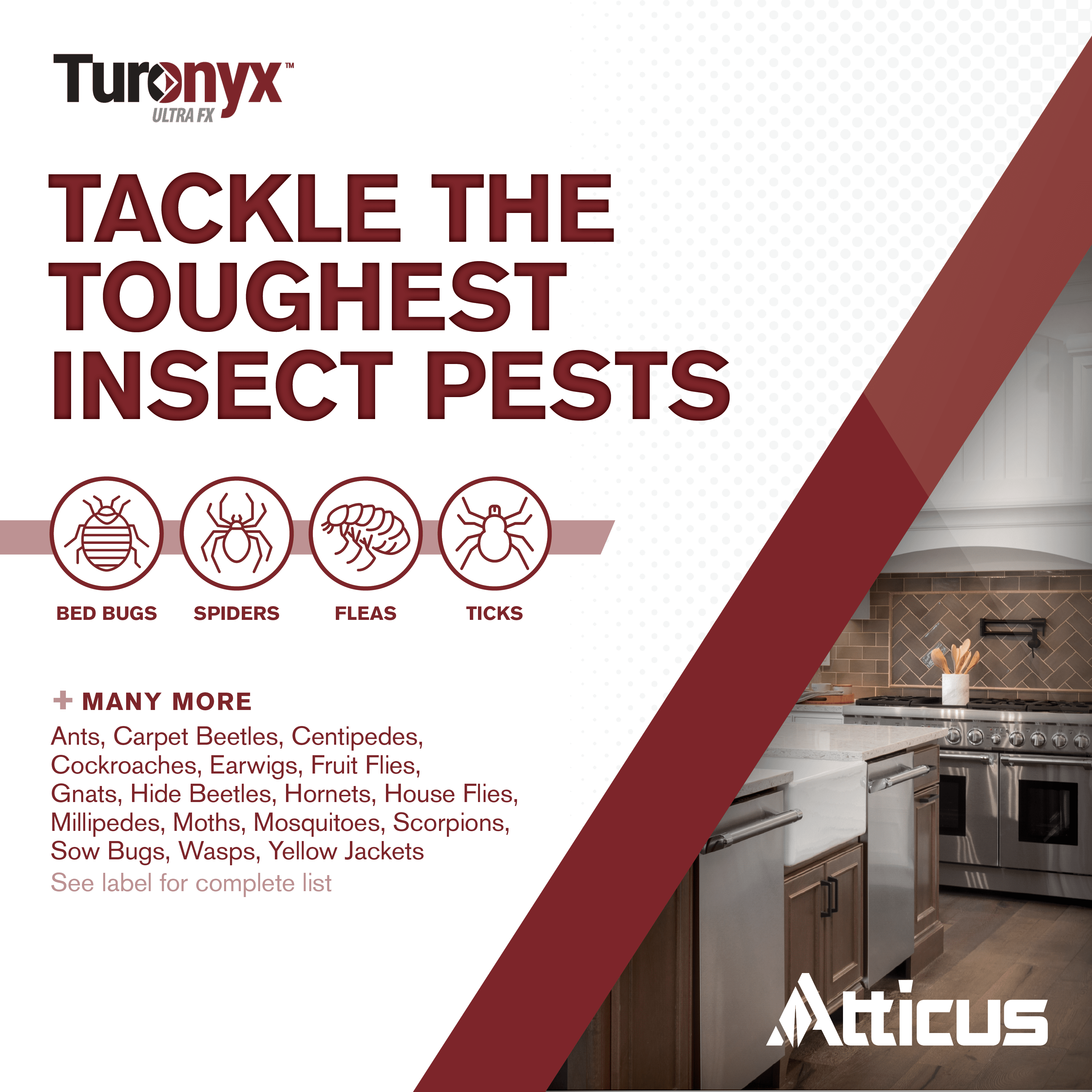 Turonyx Ultra FX Insecticide (240 mL) – (Compare to Temprid FX) – Pest Control for Indoor and Outdoor Use – by Atticus