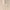 Multicolor, variant on KISS Classy Premium Press on Nails, Gorgeous, Beige, Long Square, 30 Count