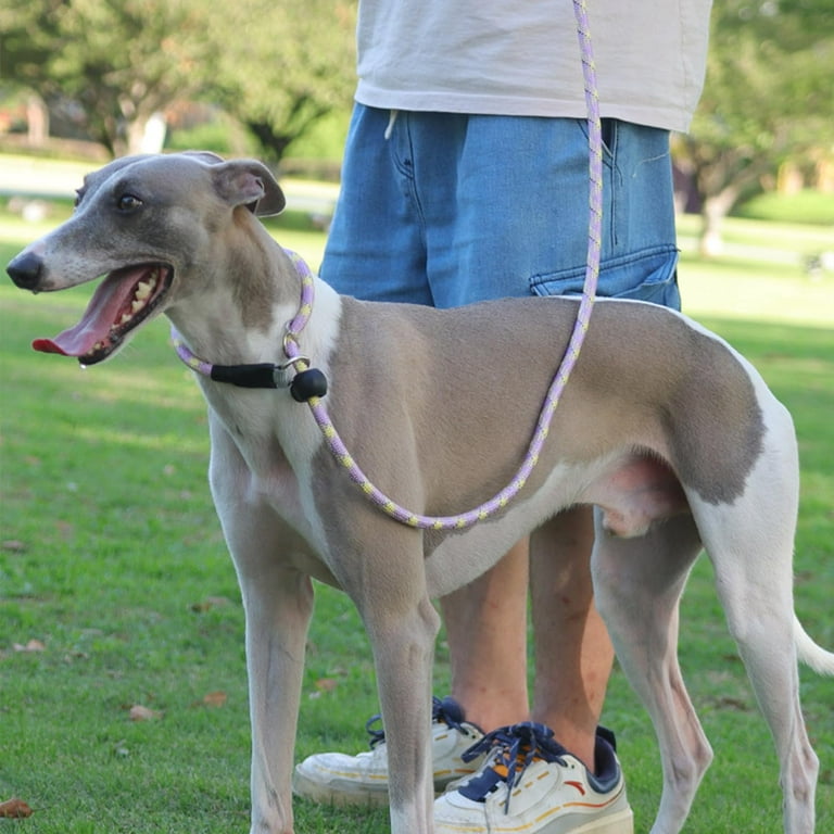 Dog Leash, FT Heavy Duty Dog Leash, Strong Training Rope Slip