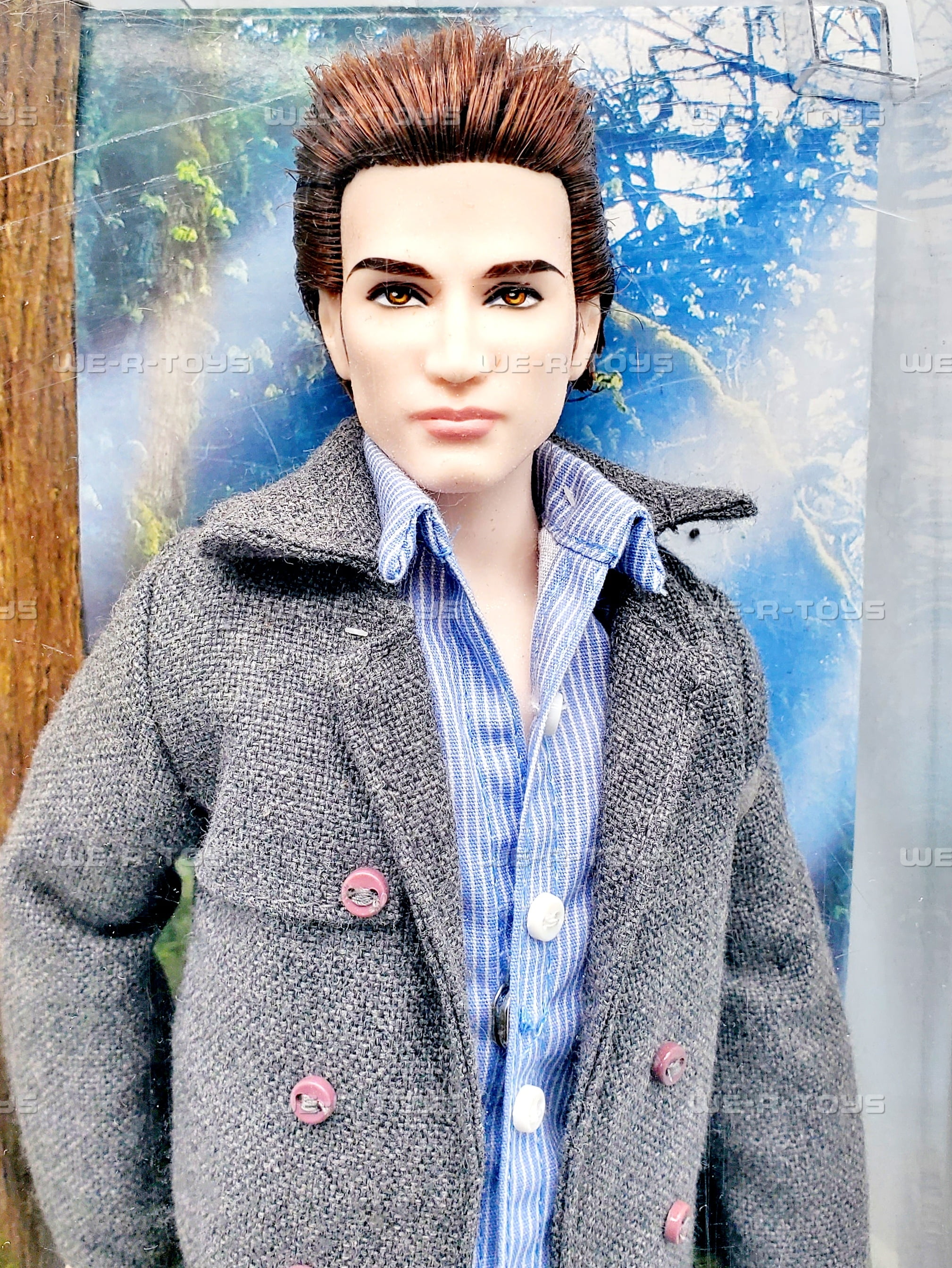 Barbie Collector Twilight Saga Edward Doll