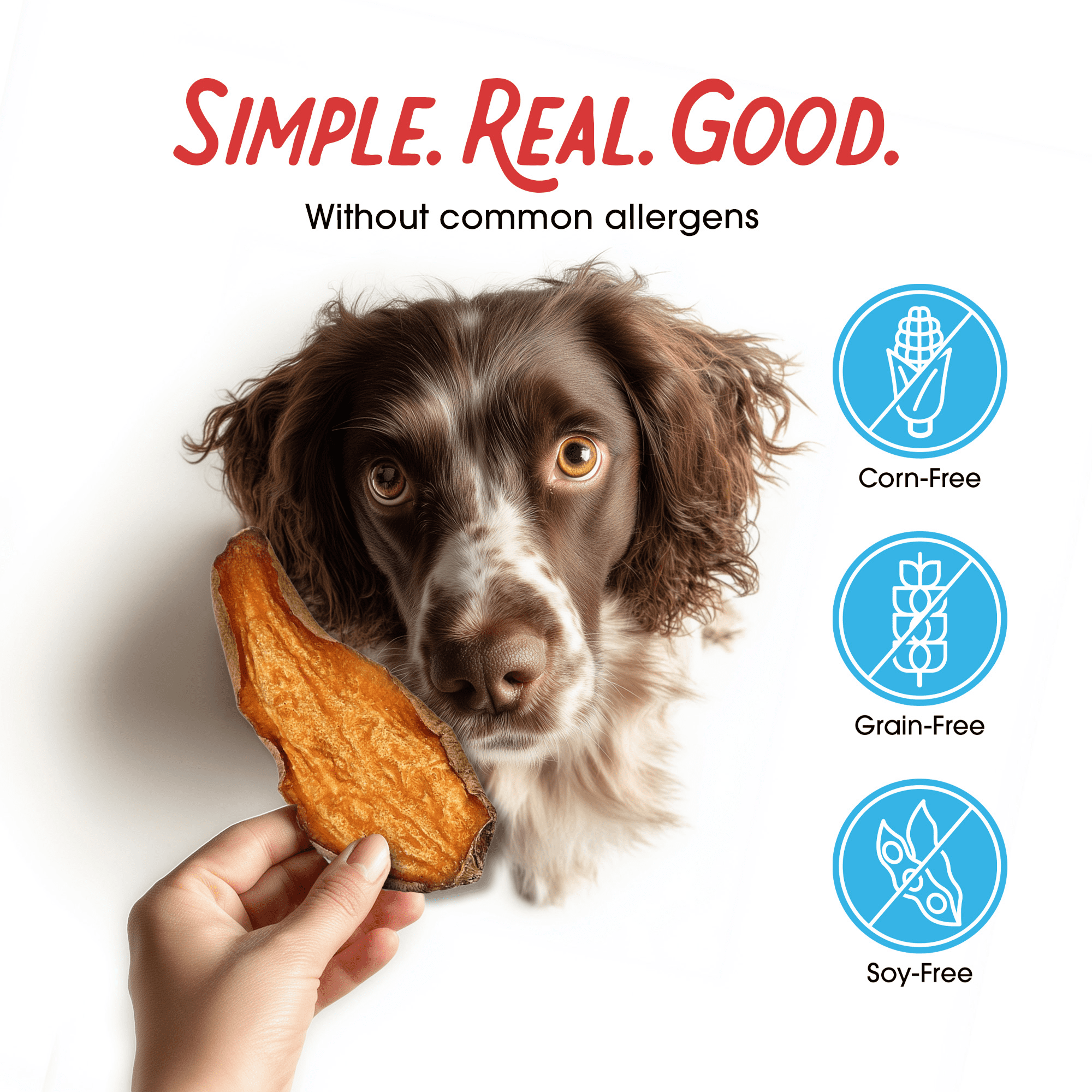 Farmland Traditions Dogs Love 100% Sliced Sweet Potato Jerky (32 oz.)