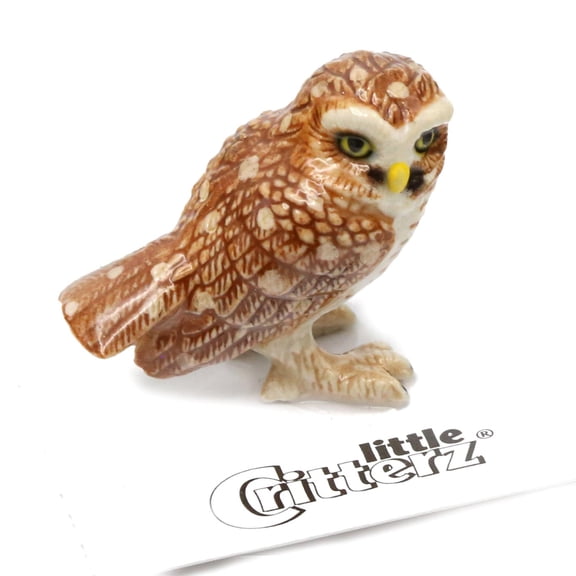 Little Critterz Owl Burrowing Owl "Athene" Bird Hand-painted - Home Decor Bird Decorative Figurine Birthday Gift - Miniature Porcelain Figurine