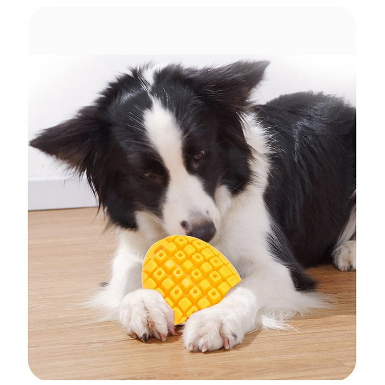 Indestructible dog top toys guaranteed