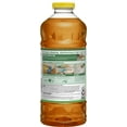 thumbnail image 3 of 60OZ REGULAR PINE SOL, 3 of 5