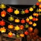thumbnail image 1 of Guirnalda de luces LED con forma de calabaza y hoja de arce para Acción de Gracias, luz decorativa colgante, adornos para arreglos de iluminación navideña, 1 of 4