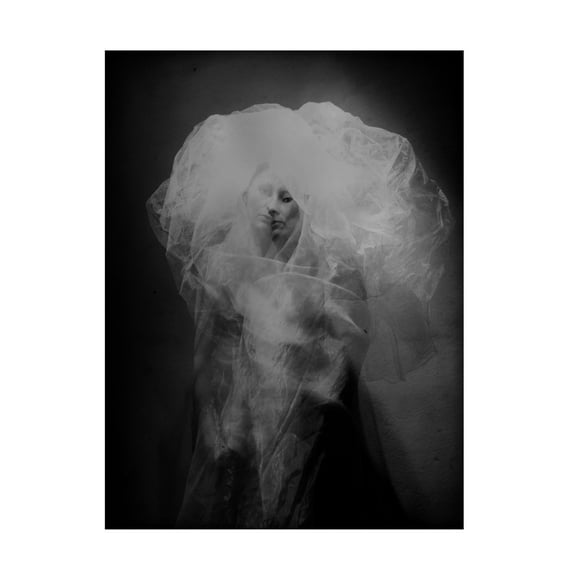 Canvas Wall Art - Yaroslav Vasiliev-Apostol 'Medusa' Wall Art for Living Room, Bedroom, or Office Décor by Trademark Fine Art - 14 x 19 Inches