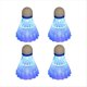 thumbnail image 1 of 4 Pelotas de Bádminton Luminosas de Plástico Espumado con Luz LED para Deportes, Juego de Bádminton Azul, 1 of 9