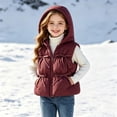 thumbnail image 7 of Besolor Toddler Kids Girls Clothes Puffer Vests Fall Winter Fleece Lined Thicken Warm Sleeveless Zipper Hoodies down Jackets with Pocket(18-24 Months,Wine), 7 of 7