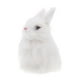 thumbnail image 1 of Conejo Peluches Peluche Peluche Animales Bebé Niños Juguete Blanco, 1 of 9