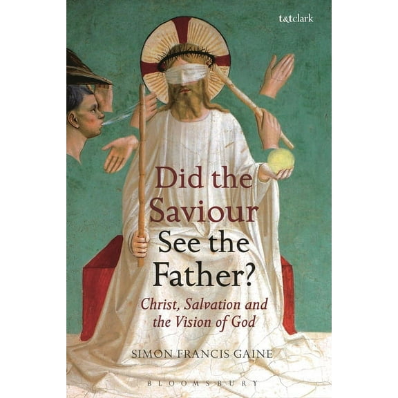Did the Saviour See the Father?: Christ, Salvation, and the Vision of God, (Paperback)