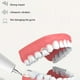thumbnail image 3 of Cateissary Irrigador de dientes práctico, ducha bucal ajustable para dientes, escalador dental ultrasónico, limpieza dental Electrodomésticos tres, 3 of 6