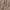 Chocolate, variant on Mainstays Polyester Rope Tassel Curtain Tieback Set, Ivory/Gold, Set of 2