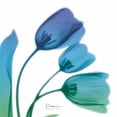 thumbnail image 3 of Koetsier, Albert 20x20 Black Modern Framed Museum Art Print Titled - Tulips Turq Blue, 3 of 5