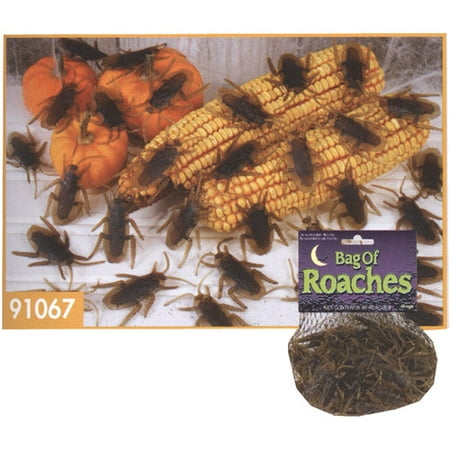 Fun World Bag of Roaches
