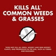 thumbnail image 4 of Spectracide Weed & Grass Killer, Extended Control, 32 Ounces, 4 of 11