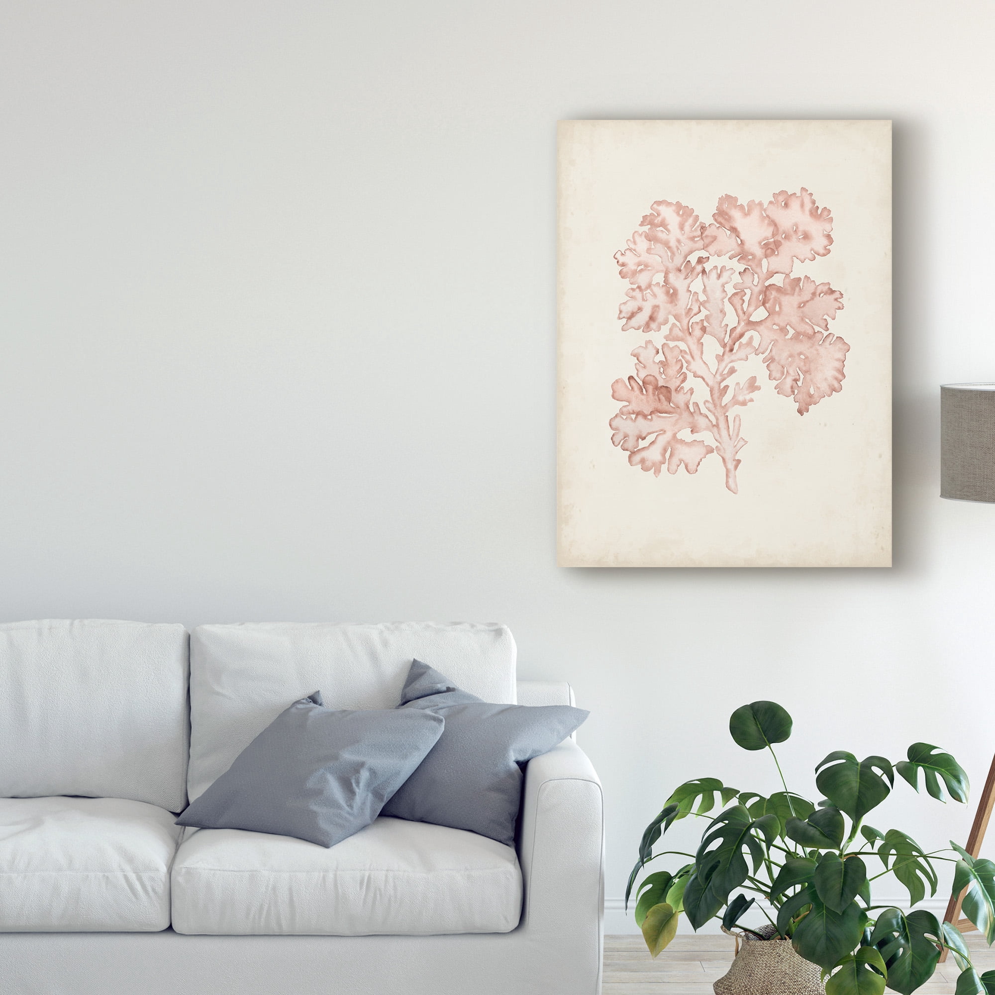 Trademark Fine Art 'Seaweed Specimens VI' Canvas Art by Naomi McCavitt