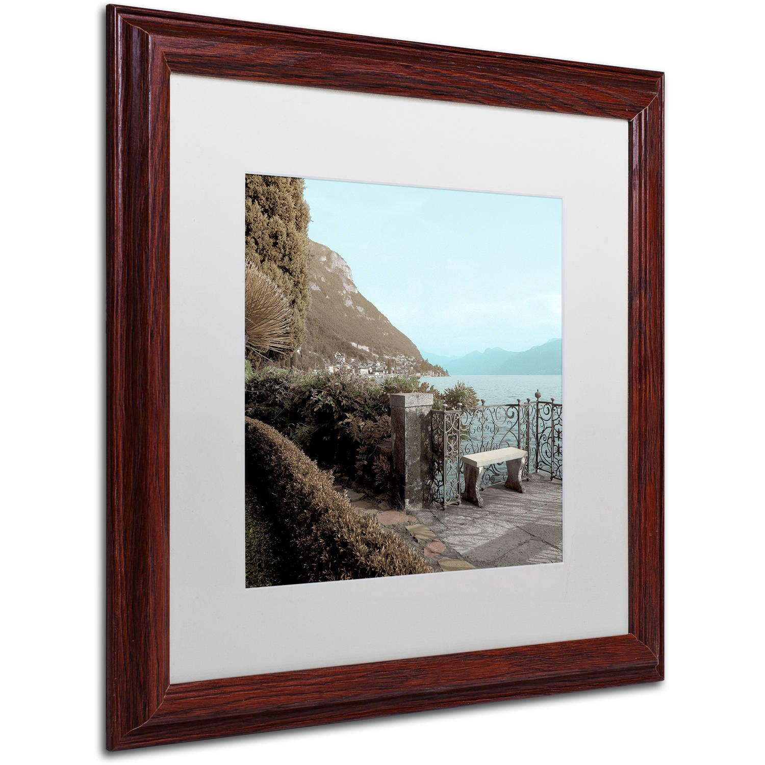 Trademark Fine Art "Lake Vista IV" Canvas Art by Alan Blaustein, White Matte, Wood Frame