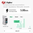 thumbnail image 4 of ZigBee Smart Switch, DIY Smart Switch Compatible with Alexa, Google Assistant, TUYA/Smart Life APP Remote Control, with Measurement, Voice Control and Timer Function, 10A, 4 of 5
