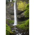 thumbnail image 2 of Narrow Waterfall With Moss Covered Cliffs; Oregon, United States of America Poster Print (24 x 36), 2 of 4