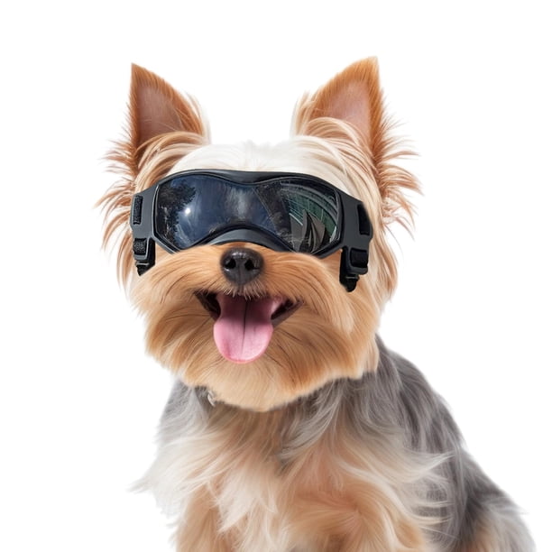 Gafas para perros PETLESO para razas pequeñas con protección UV