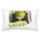 thumbnail image 1 of Fundas de almohada de Shrek, fundas de almohada mullidas súper suaves y acogedoras con cremallera, 20 x 30 pulgadas, dormitorio, sofá, sillón, funda de almohada para todas las estaciones, 1 of 8