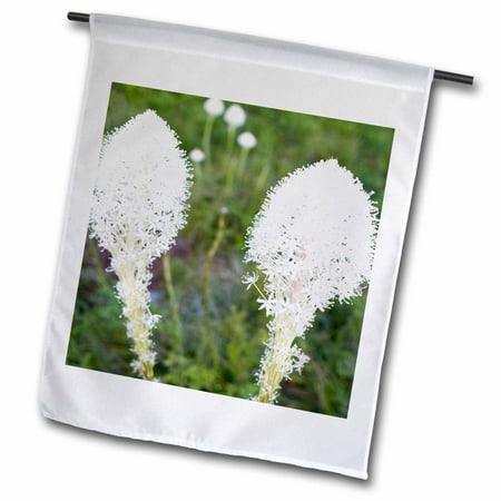 The Range Garden Furniture 3dRose Beargrass blooms, Whitefish Range, Montana - US27 CHA1566 - Chuck Haney - Garden Flag, 12 by 18-inch ()