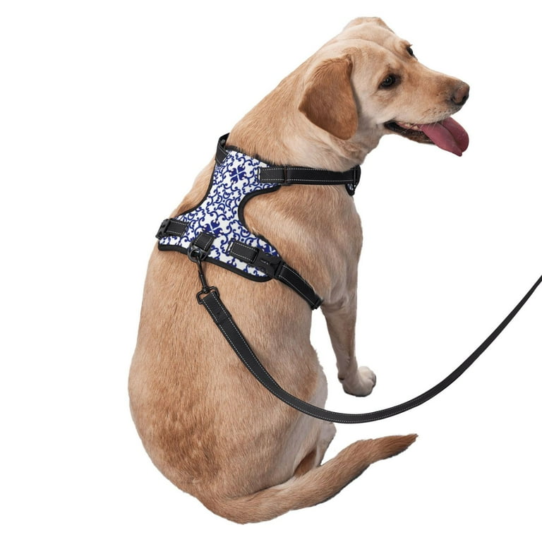 Salouo Porcelain Chinaware for Dog Harness, No-Pull Pet