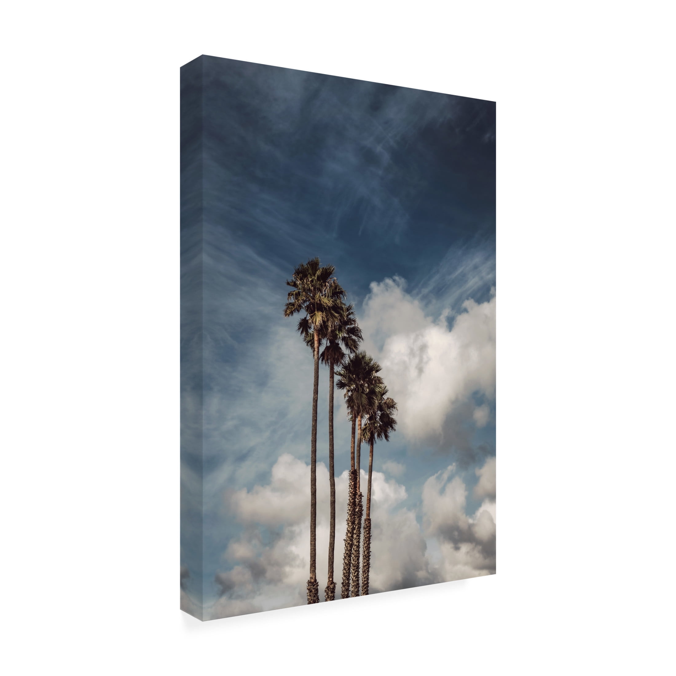Trademark Fine Art Tim Mossholder Palms And Clouds Canvas Wall Art