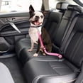 thumbnail image 4 of Heavy-Duty Dog Seat Belt for Car – Safe Distraction Free Driving, Adjustable Pet Seatbelt Harness for Small, Medium & Large Pets Pink, 4 of 4