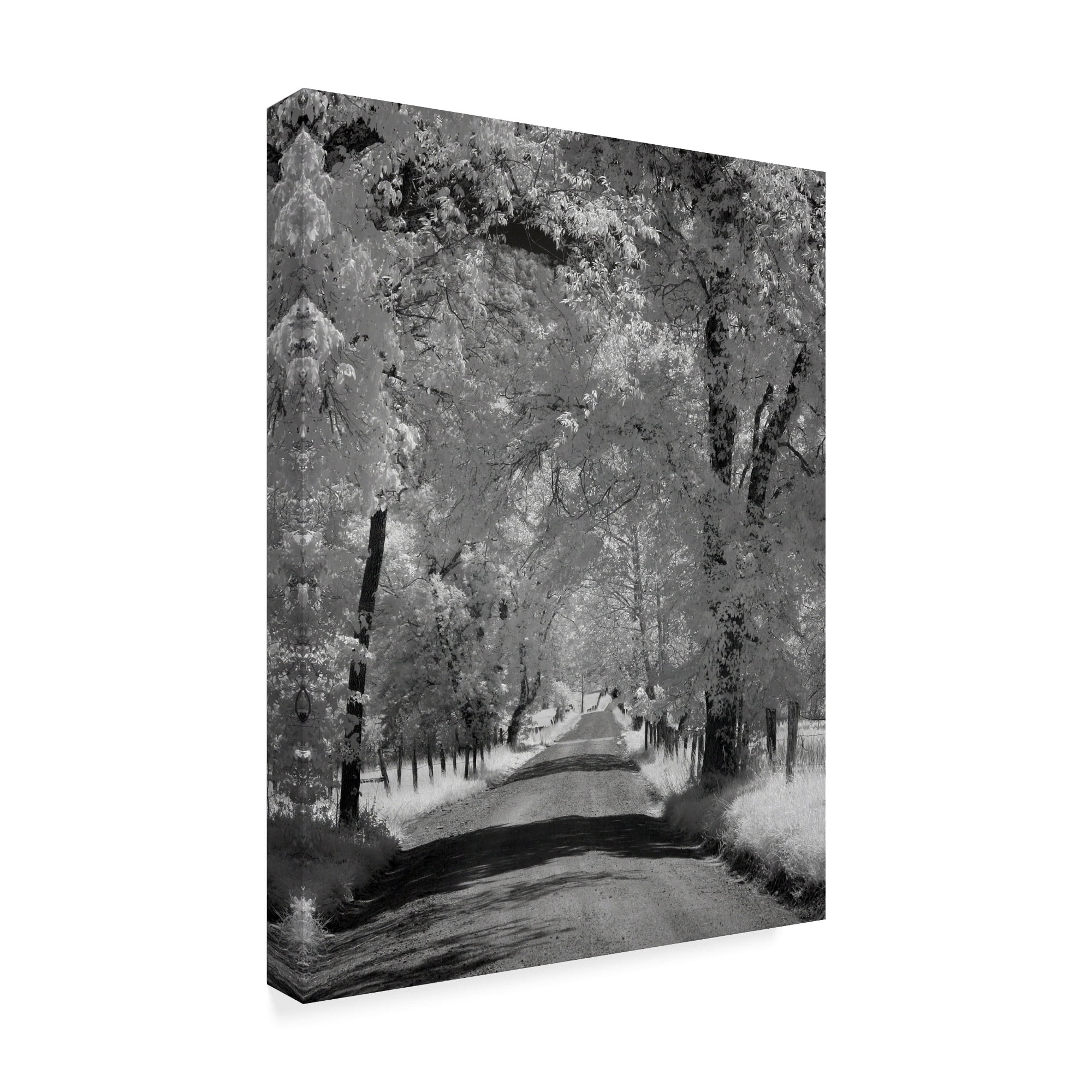 Trademark Fine Art 'Sparks Ln Ir' Canvas Art by J.D. McFarlan