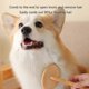 thumbnail image 4 of for Cat Slicker Brush Wood Handle Deshedding Comb for Shedding & Grooming Remove Loose Undercoat Tangled Hair Massage Br, 4 of 5