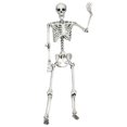 thumbnail image 2 of Costway 5.4ft Halloween Skeleton Life Size Realistic Full Body Hanging w/ Movable Joints, 2 of 10
