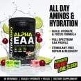 thumbnail image 3 of NutraBio Alpha EAA Hydration and Recovery Supplement - Full Spectrum EAA BCAA Matrix with Electrolytes, Nootropics, Coconut Water - Recovery, Energy, Focus, & Hydration Supplement (Cherry Lime Slush), 3 of 9
