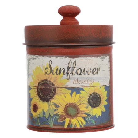 1pc Retro Style Storage Box Creative Flowerpot Iron Art Home Flower Tray