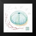 thumbnail image 2 of Brissonnet, Daphne 12x12 Black Modern Framed Museum Art Print Titled - Delicate Sea VII, 2 of 5
