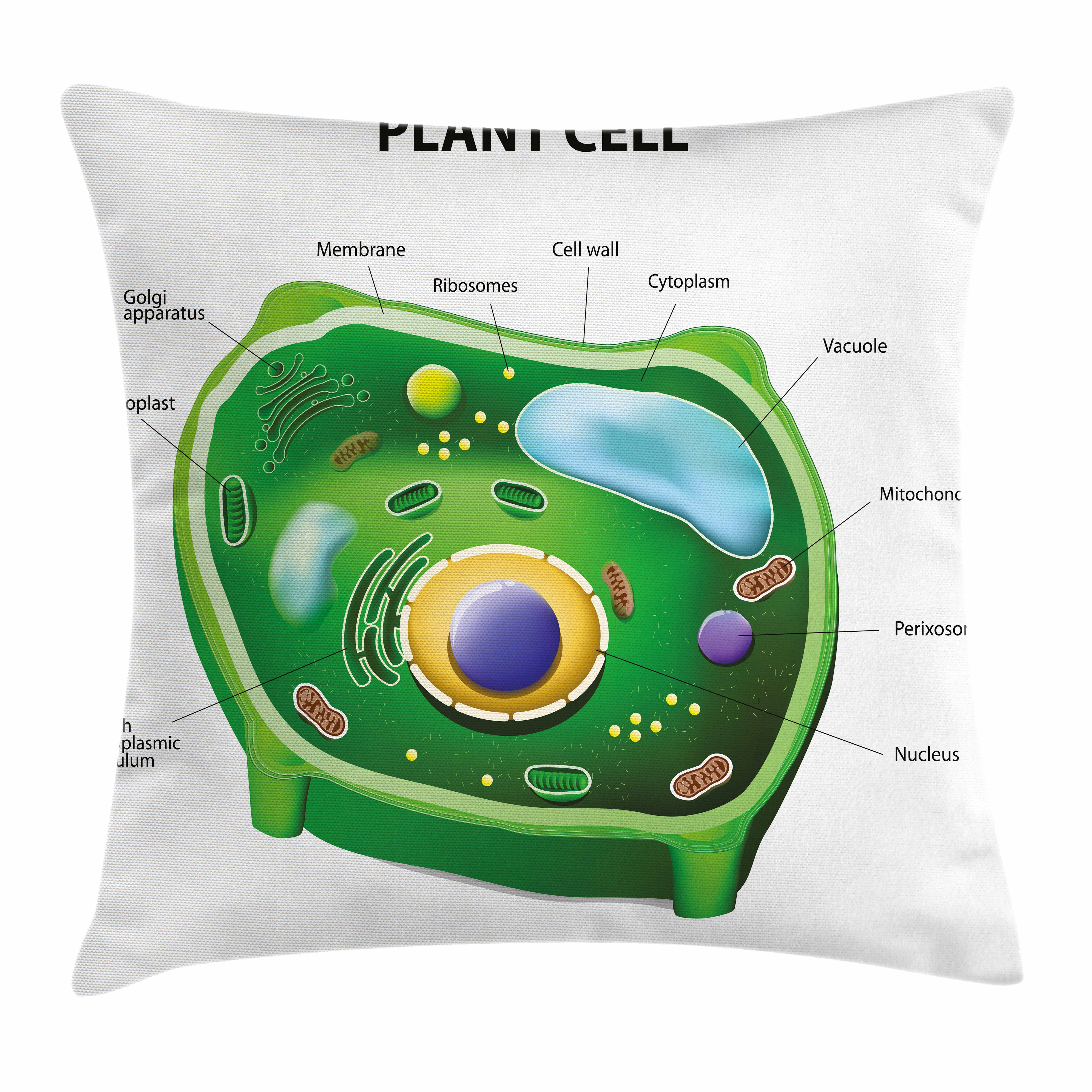 Educational Throw Pillow Cushion Cover, Plant Cell Biology