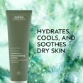thumbnail image 2 of Mascarilla facial Aveda Botanical Kinetics Hidratante Intensa 125ml, 2 of 6
